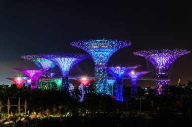 Singapur - 22 Kasım 2016: Supertrees Gardens Bay tarafından.