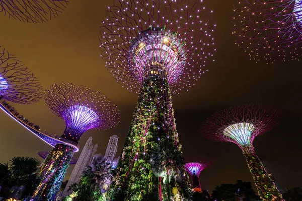 SINGAPUR - 22 DE NOVIEMBRE DE 2016: Superárboles en Gardens by the Bay . —  Fotos de Stock