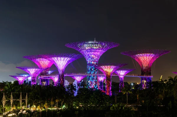 SINGAPUR - 22 DE NOVIEMBRE DE 2016: Superárboles en Gardens by the Bay . —  Fotos de Stock