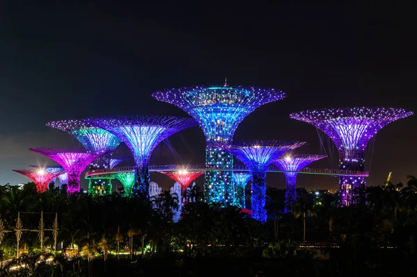 SINGAPUR - 22 DE NOVIEMBRE DE 2016: Superárboles en Gardens by the Bay . —  Fotos de Stock