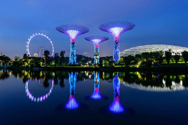 Arboleda de superárboles en el jardín junto a la bahía en Singapur —  Fotos de Stock