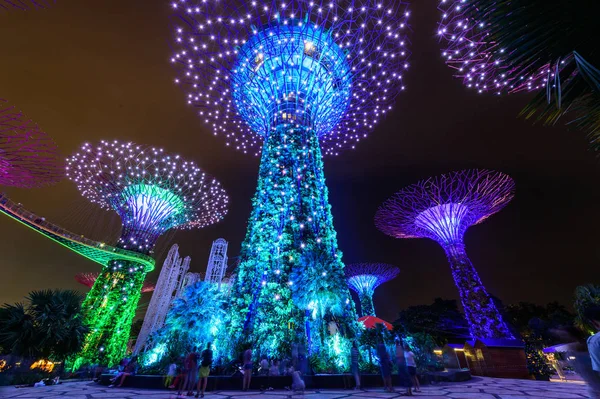 Arboleda de superárboles en el jardín junto a la bahía en Singapur —  Fotos de Stock