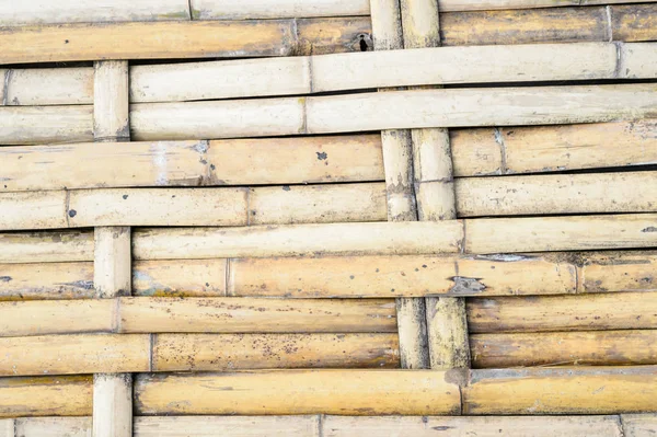 Dried bamboo background — Stock Photo, Image