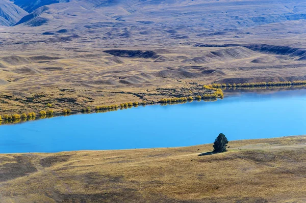 Autumn in lake tekapo, NZ — Stock Photo, Image