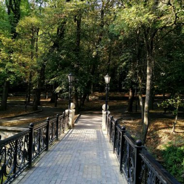 Parkta bir köprü, yeşillik ve sessizlik arasında..