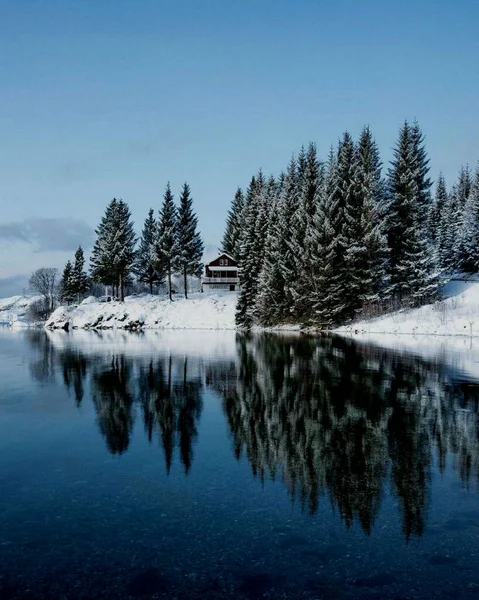 Δάσος Στο Χιόνι Στη Λίμνη Κάτω Από Έναν Γαλάζιο Χειμωνιάτικο — Φωτογραφία Αρχείου