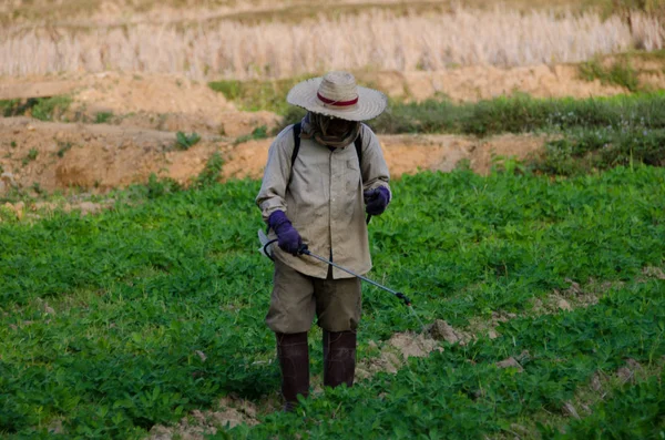 La fumigación de pesticidas —  Fotos de Stock