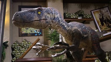 Osaka, Japonya - 13 Kasım 2019: Japonya Universal Stüdyoları 'nda Dinazor Velociraptor' un 1: 1 ölçeğinde üretimi kapat.