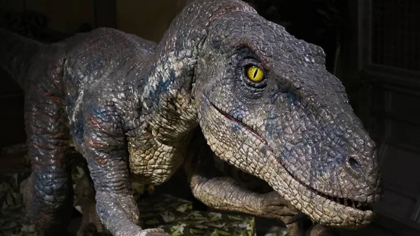 Осака Япония Ноября 2019 Крупный План Воспроизводству Динозавров Масштабе Universal — стоковое фото