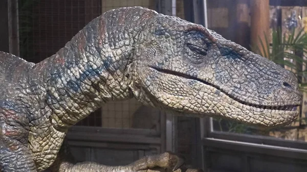 Osaka Japón Noviembre 2019 Primer Plano Reproducción Escala Dinosaur Velociraptor —  Fotos de Stock