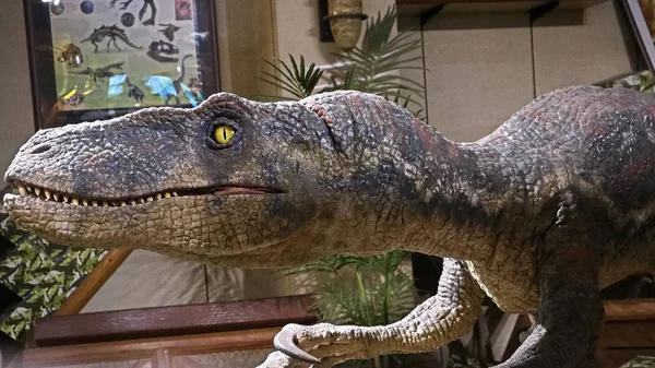 Osaka Japón Noviembre 2019 Primer Plano Reproducción Escala Dinosaur Velociraptor —  Fotos de Stock