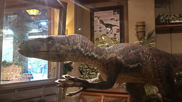 Osaka Japan Nov 2019 Close Van Reproductie Schaal Dinosaurus Velociraptor — Stockfoto