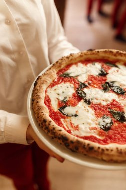 Margherita pizzalı garson elinde. Yakın plan pizza margaritası, otantik İtalyan pizzacısı. Orijinal tarif. Kafe arkaplanı