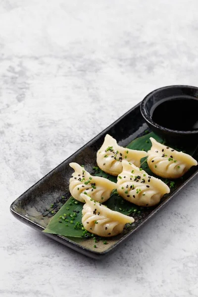 Gyoza Albóndigas Japonesas Japón Pelmeni Plato Auténtico Con Pollo Col — Foto de Stock