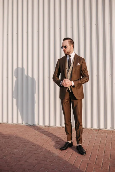 Hombre Negocios Traje Marrón Corbata Con Gafas Sol Fondo Pared —  Fotos de Stock