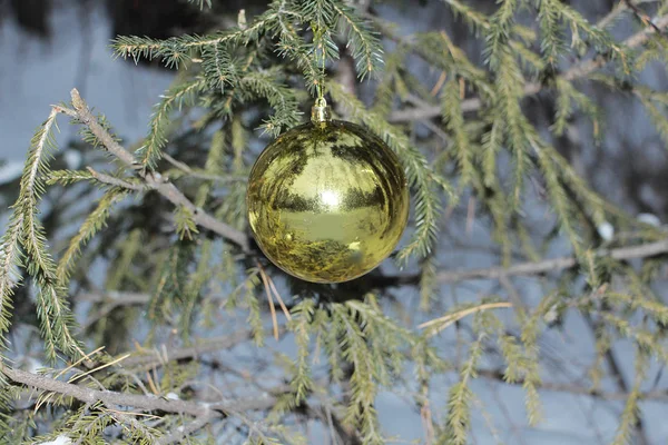 Χριστουγεννιάτικη Μπάλα Κρέμεται Ένα Χριστουγεννιάτικο Δέντρο Στο Δάσος — Φωτογραφία Αρχείου