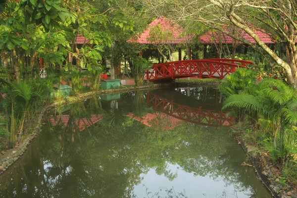 Brücke Über Den Fluss Park — Stockfoto