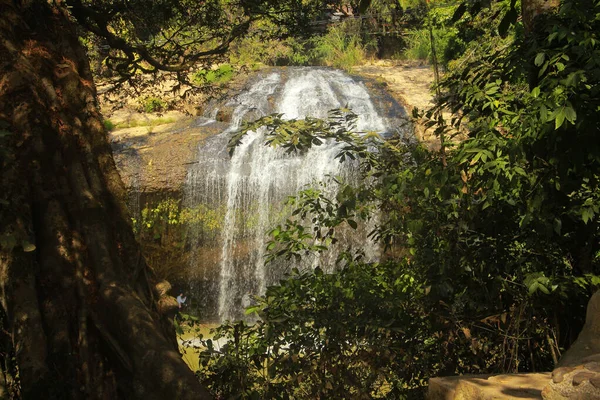 Belle Cascade Coule Dans Parc — Photo