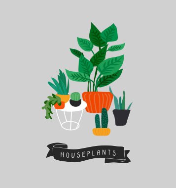 Saksı bitkileri koleksiyonu. Şehir ormanı, bitkilerle, kaktüslerle, tropikal yapraklarla moda ev dekorasyonu. Ev içi bitki vektör el çizimi karikatür kümesi
