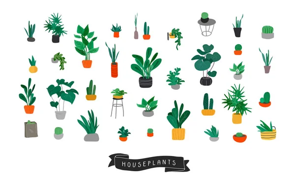 Colección de plantas en maceta. Selva urbana, decoración casera de moda con plantas, cactus, hojas tropicales. Conjunto de casa interior planta vector dibujado a mano de dibujos animados — Vector de stock