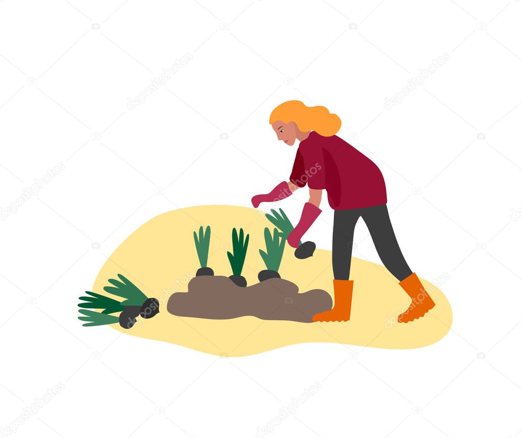 Girl gathering crops or seasonal harvest, collecting ripe vegetables. Women work on a farm. Agricultural worker in autumn. Cartoon vector