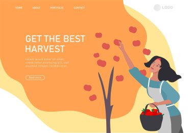 İnsanların ekin ya da mevsimsel hasat topladığı, olgun sebzeler topladığı sayfa şablonu. Erkekler ve kadınlar çiftlikte çalışır. Sonbaharda tarım işçileri. Çizgi film vektörü