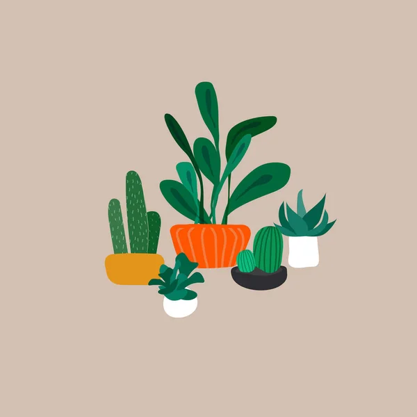 Colección de plantas en maceta. Selva urbana, decoración casera de moda con plantas, cactus, hojas tropicales. Conjunto de casa interior planta vector dibujado a mano de dibujos animados — Vector de stock