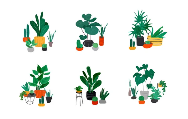 Colección de plantas en maceta. Selva urbana, decoración casera de moda con plantas, cactus, hojas tropicales. Conjunto de casa interior planta vector dibujado a mano de dibujos animados — Vector de stock