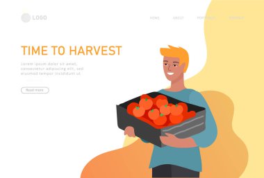 İnsanların ekin ya da mevsimsel hasat topladığı, olgun sebzeler topladığı sayfa şablonu. Erkekler ve kadınlar çiftlikte çalışır. Sonbaharda tarım işçileri. Çizgi film vektörü