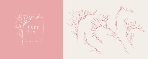 Freesia Blumen Logo und Zweig. Handgezeichnetes Hochzeitskraut, Pflanze und Monogramm mit eleganten Einladungsblättern speichern das Datumskartendesign. botanische rustikale trendige Grünflächen — Stockvektor