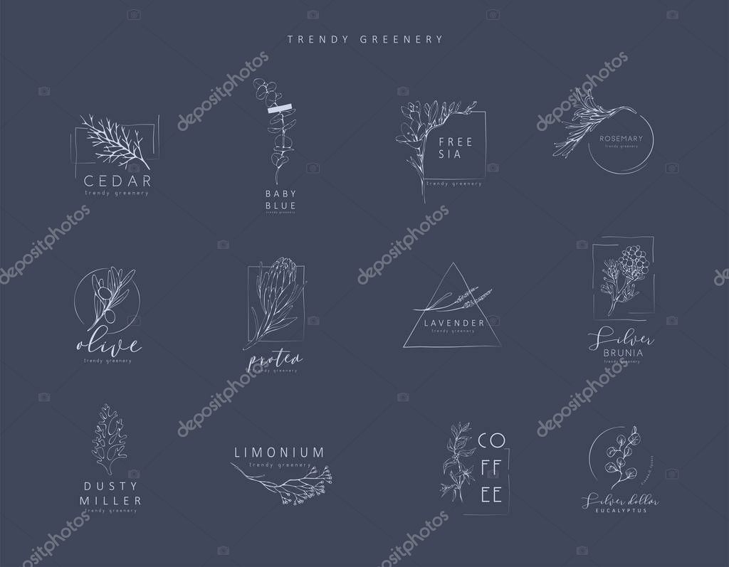 Floral logo and branch. Hand drawn wedding herb, plant and monogram with elegant leaves for invitation save the date card design. Botanical rustic trendy greenery vector illustration