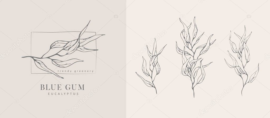 Eucalyptus blue gum logo and branch. Hand drawn wedding herb, plant and monogram with elegant leaves for invitation save the date card design. Botanical rustic trendy greenery vector illustration