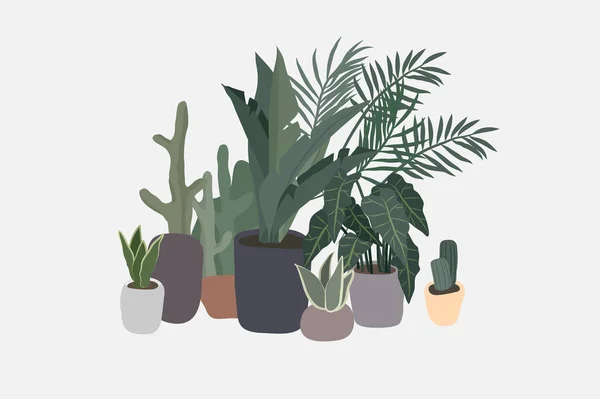 Raccolta di piante in vaso. Giungla urbana, arredamento di tendenza con piante, cactus, foglie tropicali. Set di casa coperta pianta vettore disegnato a mano cartone animato — Vettoriale Stock