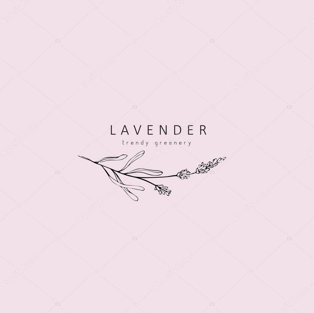Lavender logo and branch. Hand drawn wedding herb, plant and monogram with elegant leaves for invitation save the date card design. Botanical rustic trendy greenery vector illustration