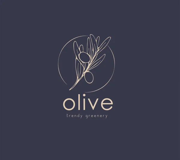 Оливковый Логотип Ветка Ручной Рисунок Свадебной Травы Растения Монограммы Элегантными — стоковый вектор