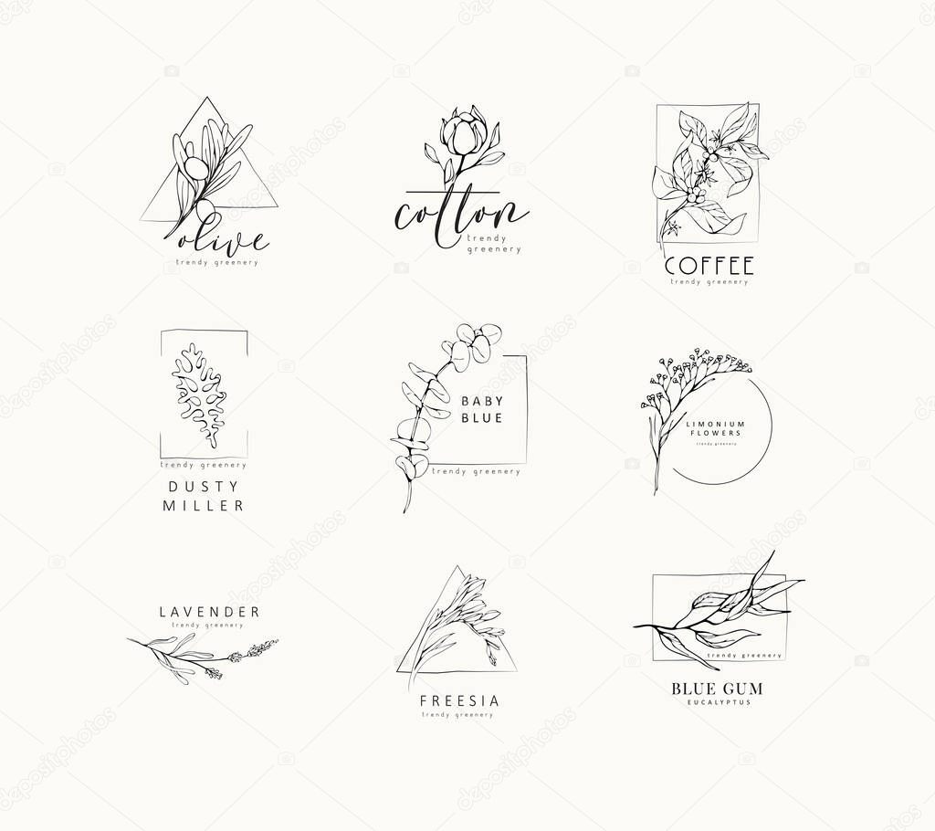 Floral logo and branch. Hand drawn wedding herb, plant and monogram with elegant leaves for invitation save the date card design. Botanical rustic trendy greenery vector illustration