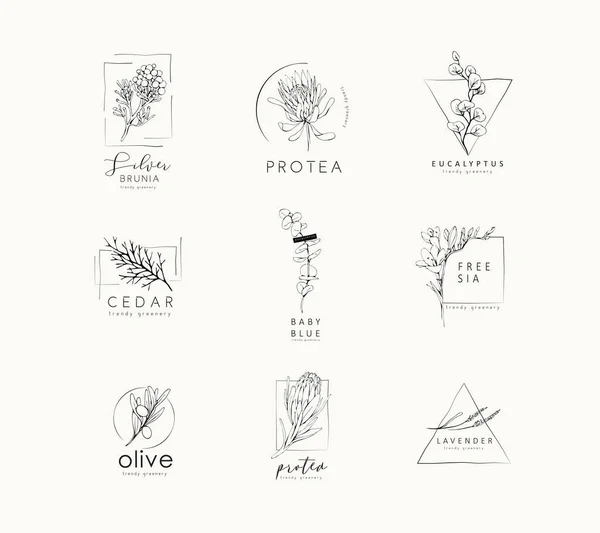 Logotipo Floral Ramo Erva Casamento Desenhado Mão Planta Monograma Com —  Vetores de Stock
