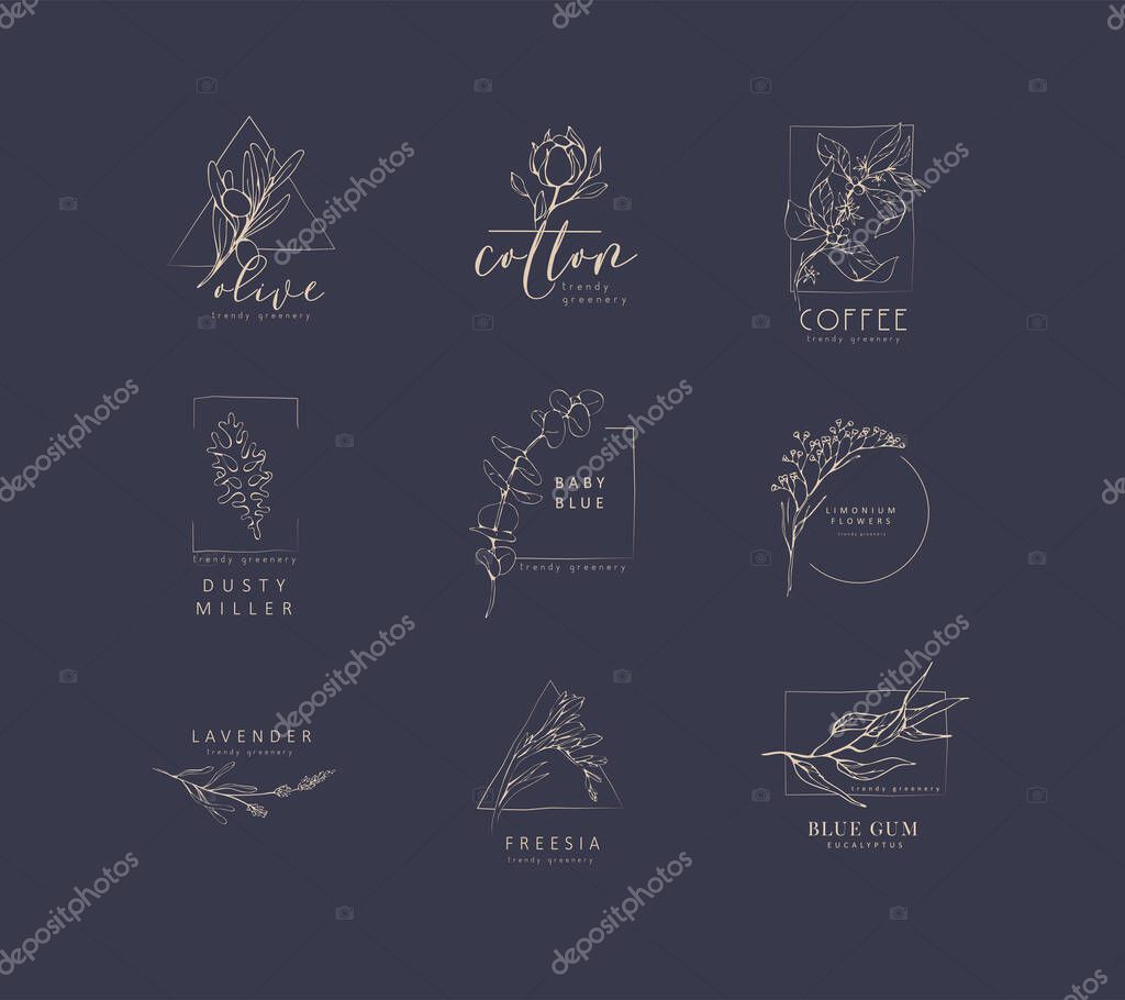 Floral logo and branch. Hand drawn wedding herb, plant and monogram with elegant leaves for invitation save the date card design. Botanical rustic trendy greenery vector illustration