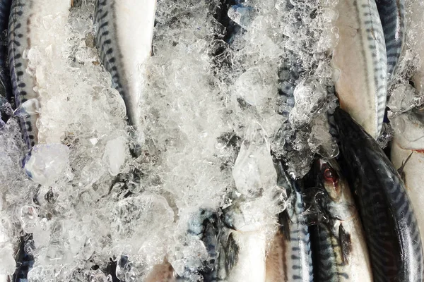 Świeże Ryby Owoce Teksturę Tła Lub Deseń Raw Food — Zdjęcie stockowe