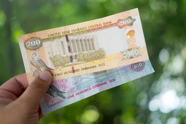 Osoby, které dávají měny Spojených arabských emirátů (Uae) - Dvě stě a sto Dirhamových bankovek rozprostřených na přírodním pozadí. Výměna peněz. — Stock fotografie