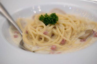 Klasik ev yapımı carbonara makarnası.