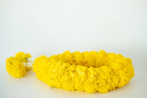 Close up of garland Marigold 