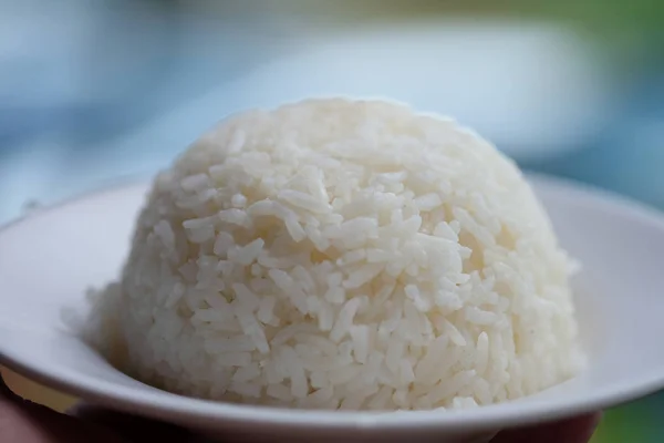 Jasmine rice serve on a plate — Stock Photo, Image