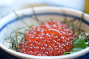 Somon yumurtası ve Japon yemeği ile kaplı pirinç kasesi.