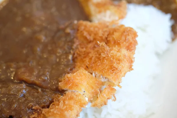 Rýže s vepřovou kotletou (Tonkatsu) a kari — Stock fotografie