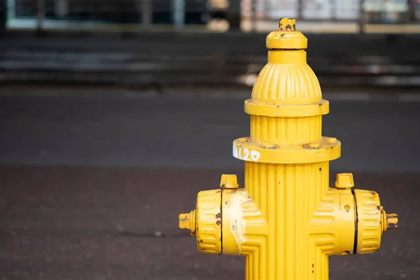 Žlutý oheň Hydrant na chodníku — Stock fotografie