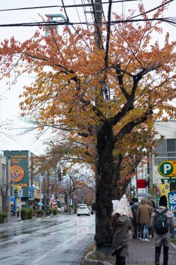 Hakodate, Japonya - 18 Kasım 2019: Kışın Hakodate şehir manzarası. Yol kenarında yürüyen insanlar