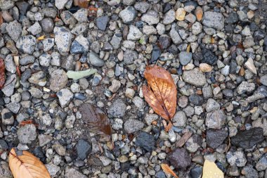 Farklı küçük kayalar, taşlar ya da çakıllar