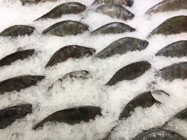 Tayland 'daki balık pazarında buzda taze tilapia satılıyor.