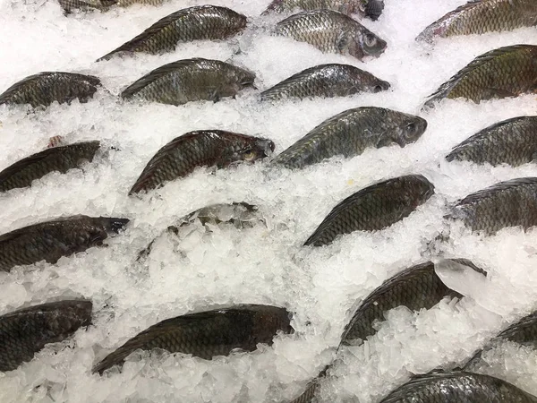 Fresh tilapia on ice for sale in the fish market at Thailand — Stock Photo, Image